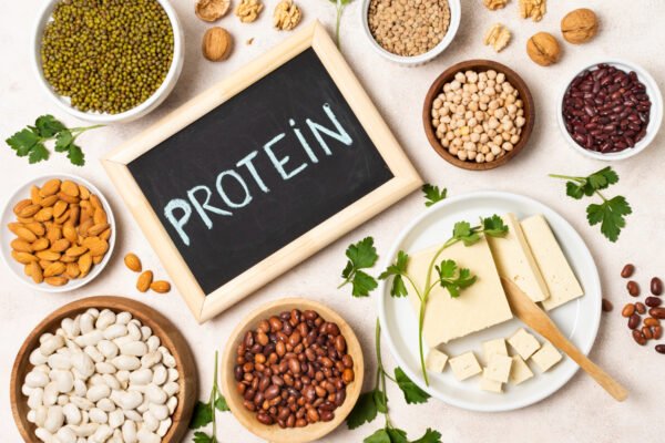 Les sources de protéines végan : un guide complet pour une nutrition équilibrée