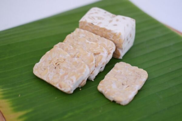 tempeh