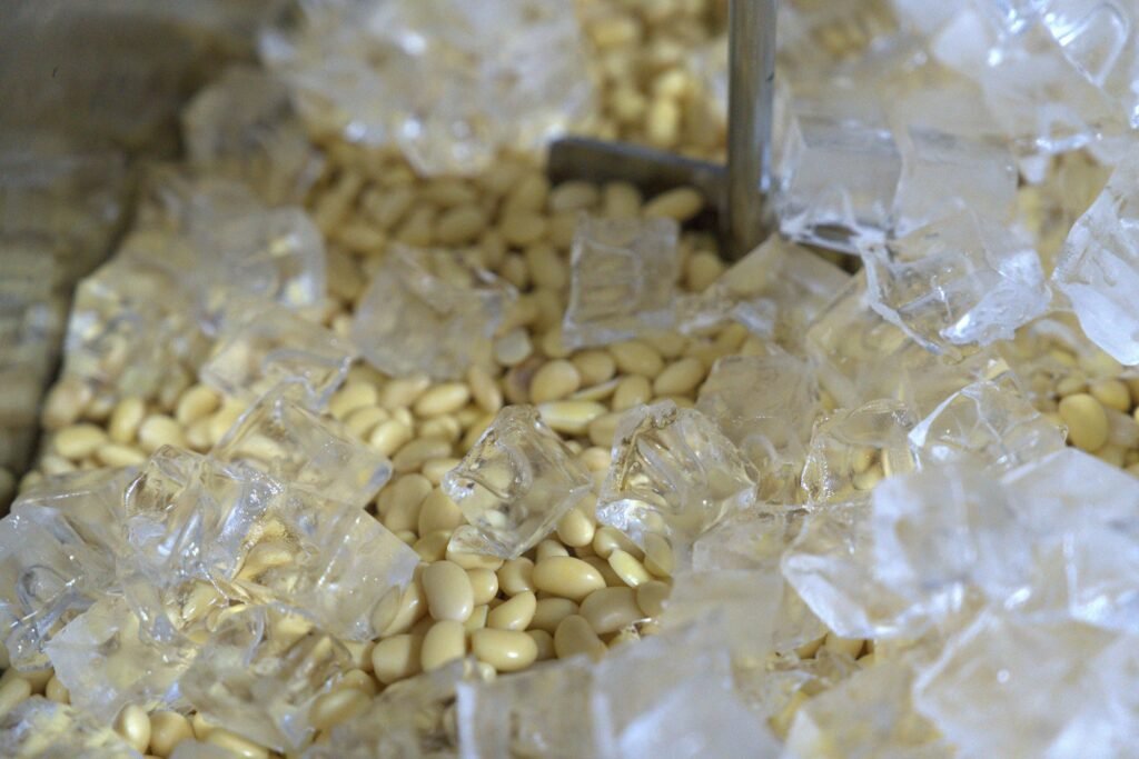 Graines de soja avec glaçons, ingrédients essentiels pour préparer le miso.
